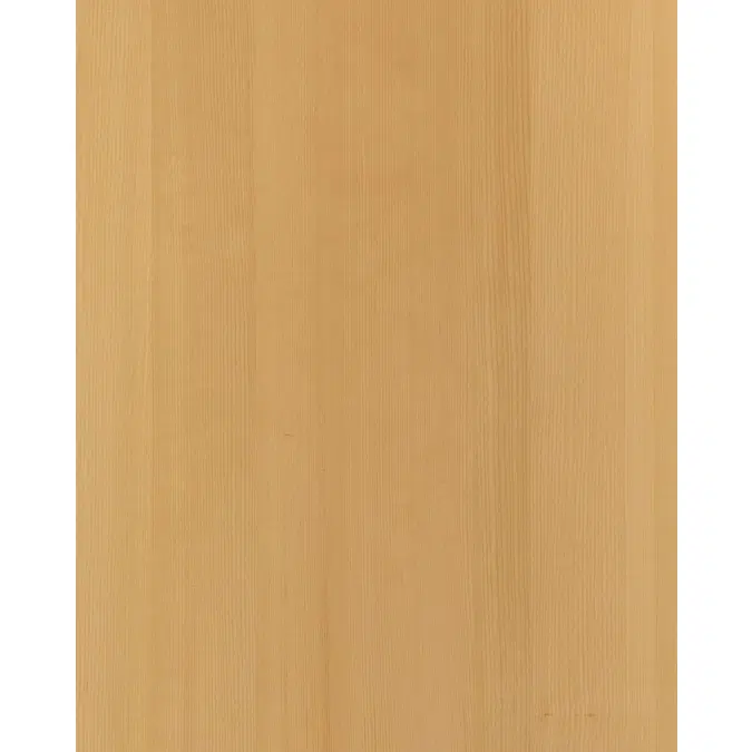 Spruce Tiren N553L