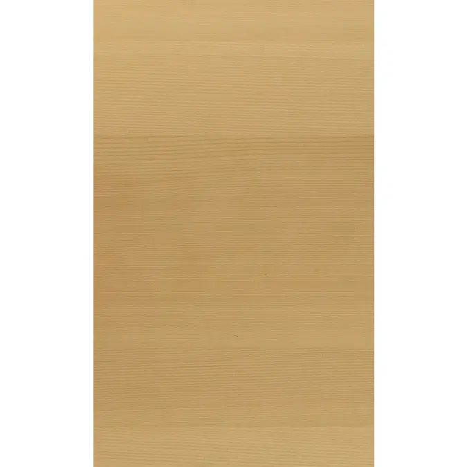Spruce Tiren N553L