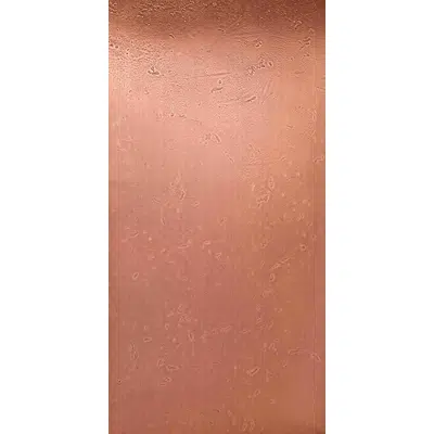 Image for Fossil copper DV637/502