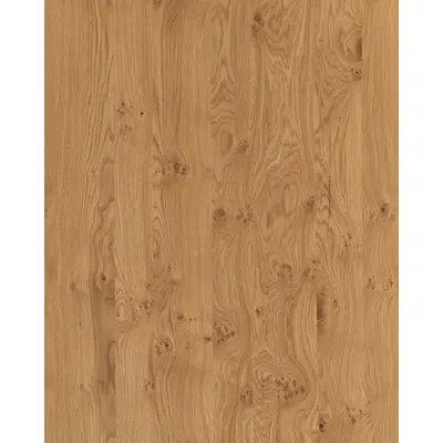 Image for Oak with solid knots N520L