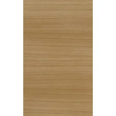 Image for Woodline Light Oak N619