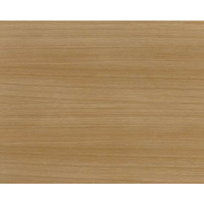 Woodline Light Oak N619