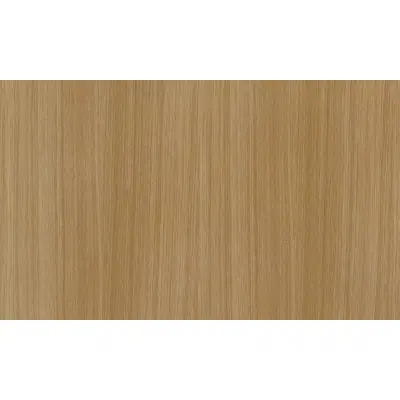 Woodline Light Oak N619图像