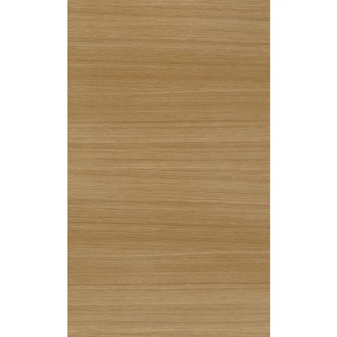 Woodline Light Oak N619