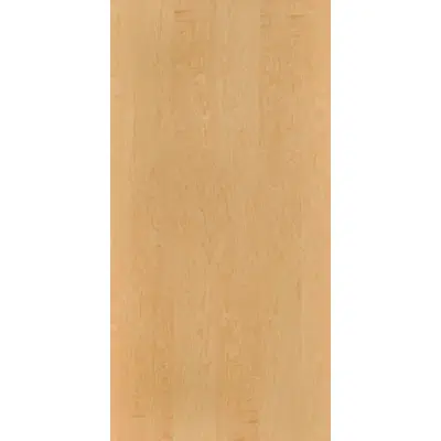 Peeled birch N826RO图像