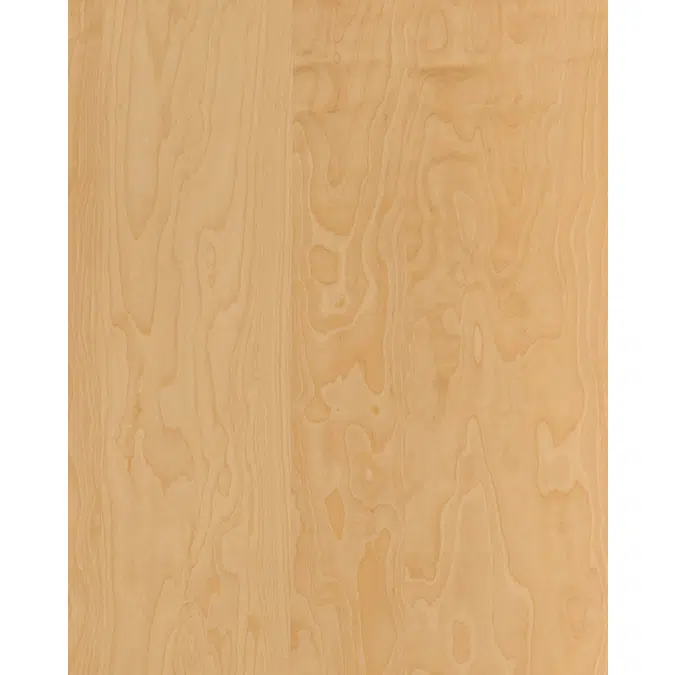 Peeled birch N826RO