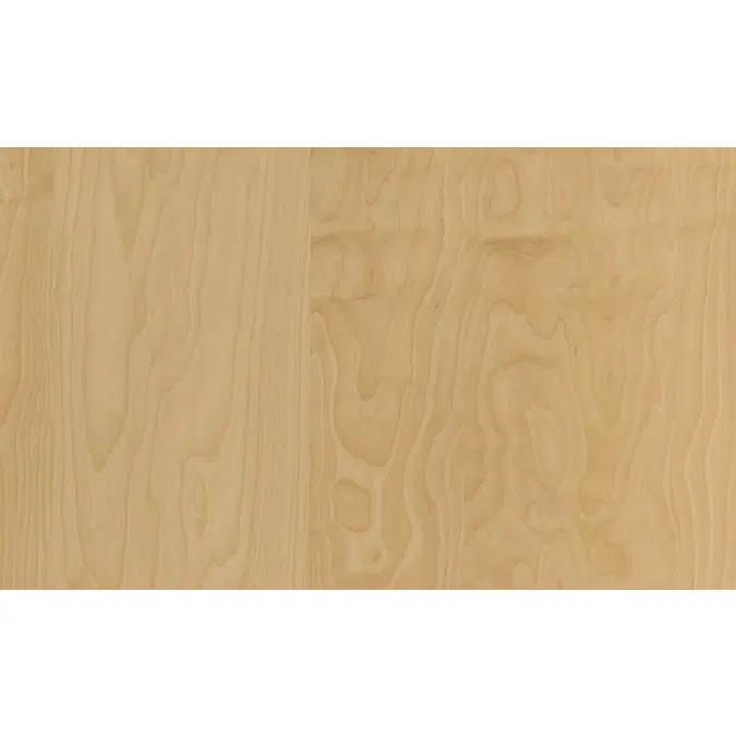 Peeled birch N826RO