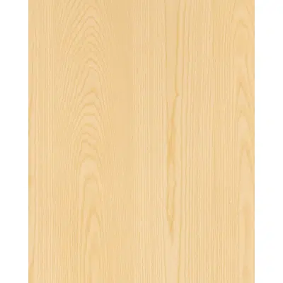 Image for Ash back Oriel N528 varnished
