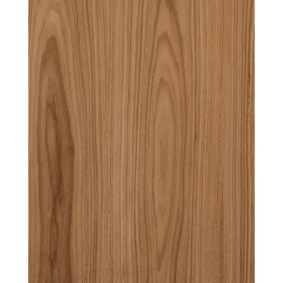 kép a termékről - Walnut US back N141