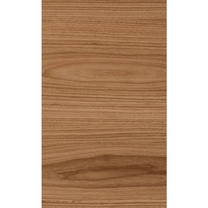Walnut US back N141