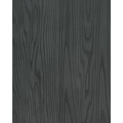 Image for Ash Onir NT256L
