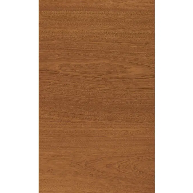 Woodline Mahogany back N621
