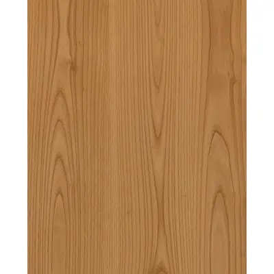 imagen para Chestnut pod N563L