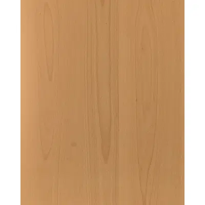 kép a termékről - Beech steamed back N117L