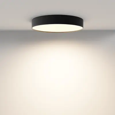 Image for Ceiling luminaire Zon