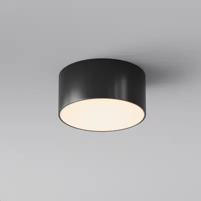 obraz dla Outdoor ceiling lamp Zon IP