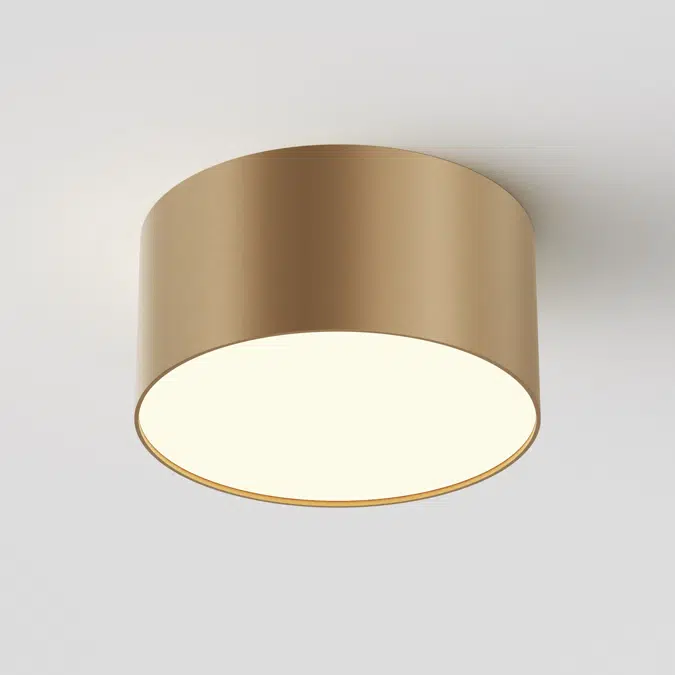 Ceiling luminaire Zon