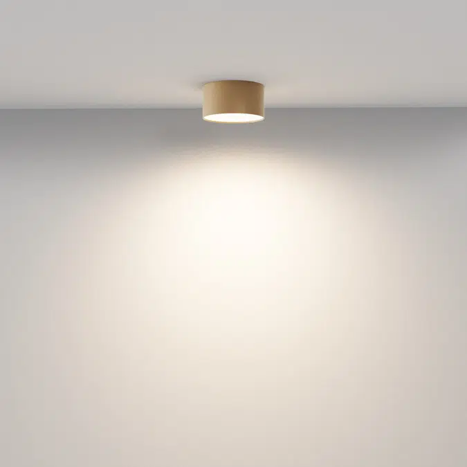 Ceiling luminaire Zon