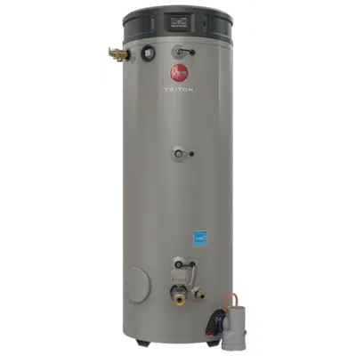 imagem para Triton Heavy Duty Commercial Water Heater