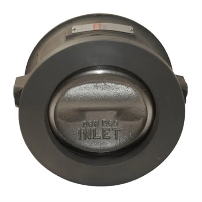 Class 600, RF Carbon Steel or Stainless Steel Chexter Tilting Disc Check Valves - 1605