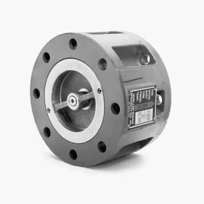 画像 Class 125 Cast Iron Standard Wafer Silent Check Valves - 101MAP