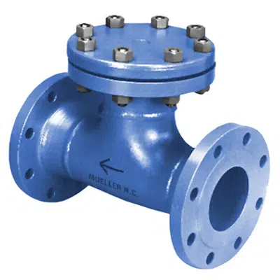 Image for Class 150 Fabricated Tee Strainers - 41T