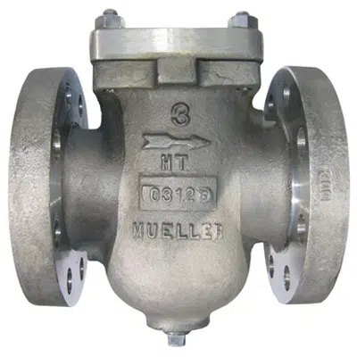 Image for Class 150 Cast Stainless Steel Flanged End Basket Strainers - 185-SS