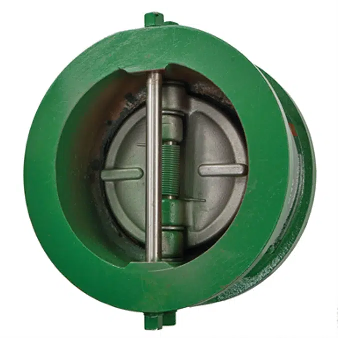 Class 125 Cast Iron Sure Check™ Valves - 71U