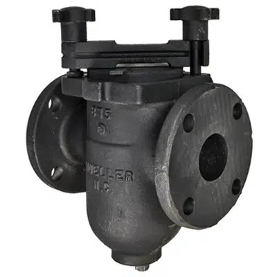 изображение для Class 125 Cast Iron Flanged End Basket Strainers, Clamped Cover - 155M
