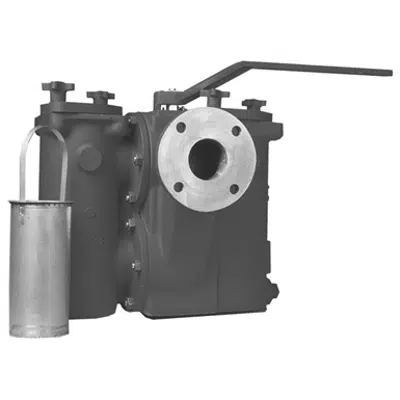 Image for Class 125 Ball-Plex™ Cast Iron Flanged End Duplex Strainers - 791FA