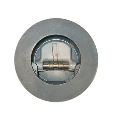 Image for Class 125 Cast Iron Chexter Tilting Disc Check Valves - 1600