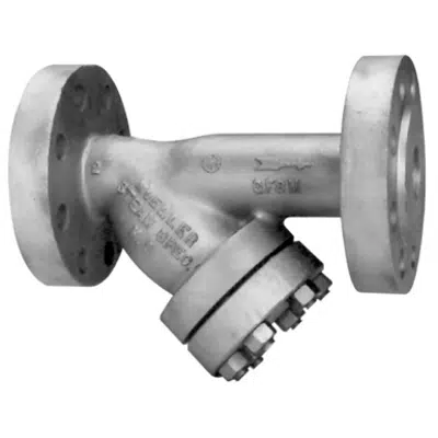 画像 Class 600 Cast Stainless Steel Flanged End Y Strainers - 764-SS