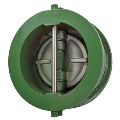 Class 125 Cast Iron Sure Check™ Valves - 71图像