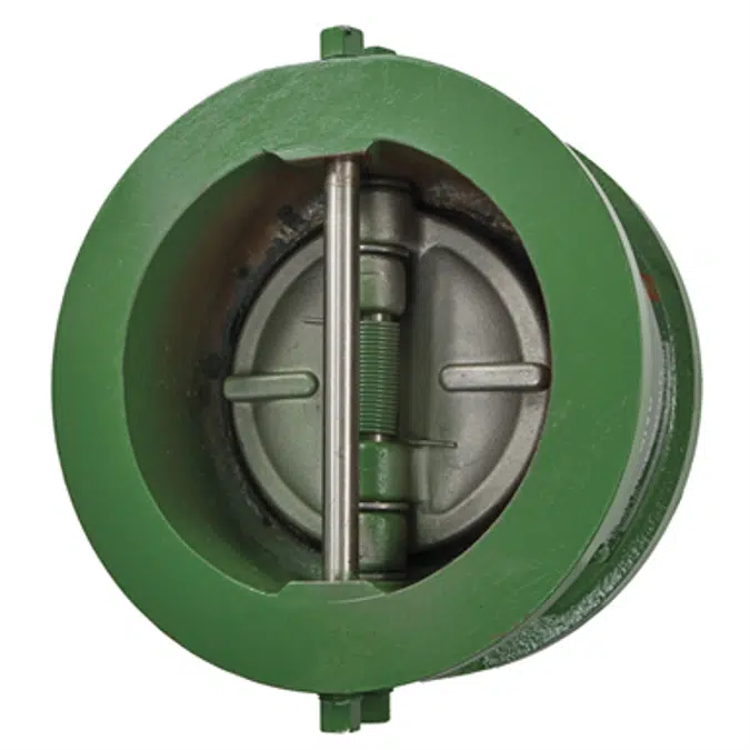 Class 125 Cast Iron Sure Check™ Valves - 71