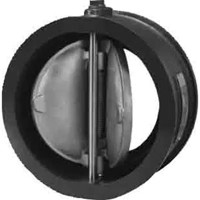 画像 Class 150 Bronze, Ductile Iron, Carbon Steel or Stainless Steel Sure Check™ Valves - 72