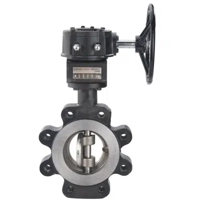 billede til High Performance Lug Double Eccentric Butterfly Valves - Import - 90