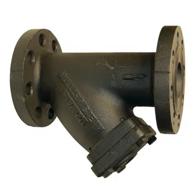 Image for Class 250 Cast Iron Flanged End Y Strainers - 752