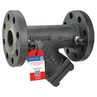 Image for Class 250 Cast Iron Flanged End Y Strainers - 752