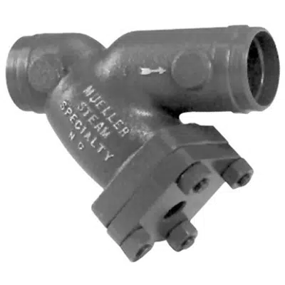 画像 Class 150 Cast Stainless Steel Butt Weld End Y Strainers - 781-SS-WE