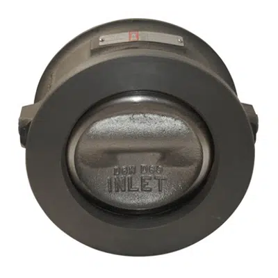 Image for API Class 2000 Carbon Steel Unibody Chexter API RTJ Tilting Disc Check Valves - 1696