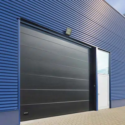 Dynaco Sectional Door I-14P PANEL图像