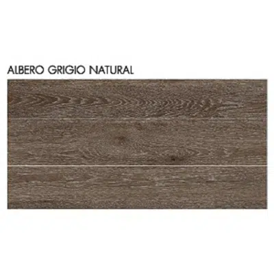 Image for WDC X-Porcelain Tile Albero Grigio Natural (C159306)