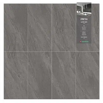 WDC X-Porcelain Tile I'Pietra Alpine Grey Lappato (GIP04LP) 이미지