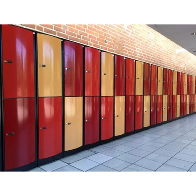 2-Compartment Locker Arched Steel Door W:400 D:500 H:1700