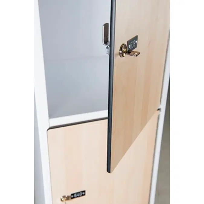 3-Compartment Locker Arched Steel Door W:300 D:500 H:1700