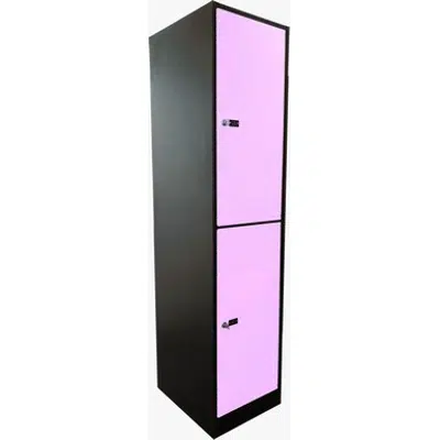 2-Compartment Locker Flat Steel Door W:300 D:500 H:1700