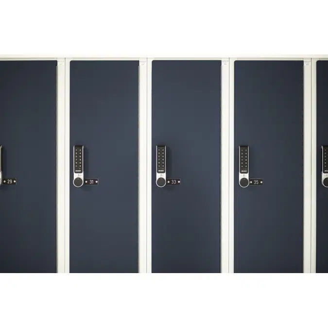2-Compartment Locker Flat Steel Door W:300 D:500 H:1700