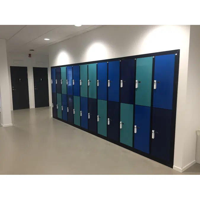 2-Compartment Locker Flat Steel Door W:300 D:500 H:1700
