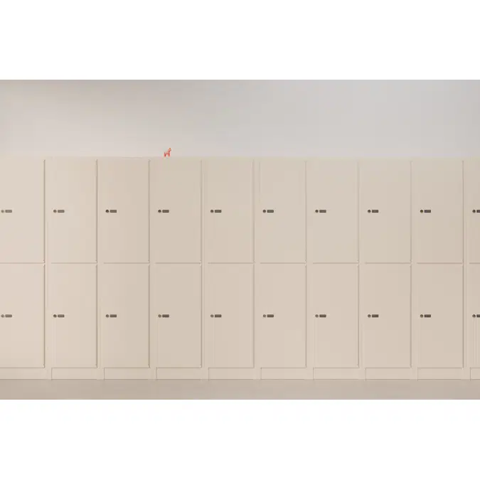 2-Compartment Locker Flat Steel Door W:300 D:500 H:1700