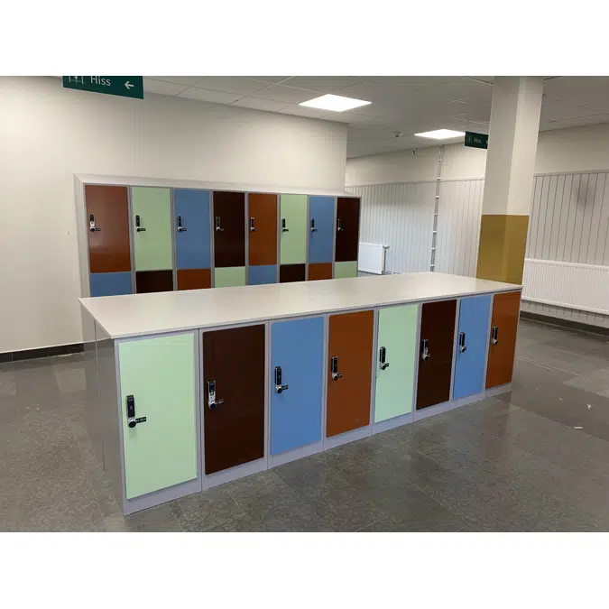 Low Height Locker 400, Steel Door